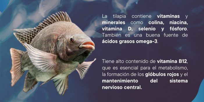 ¿Andas de pecador con tu carne asada?, mejor come Tilapia sonorense