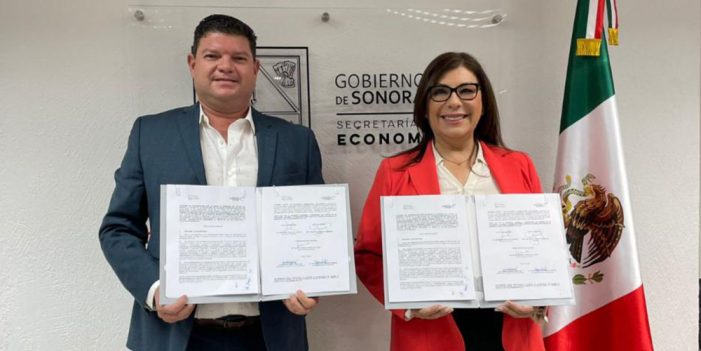 Trabajarán de manera coordinada por el sector energético